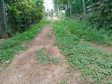 Land for sale Nittabuwa