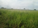Land For Sale in Nochchiyagama