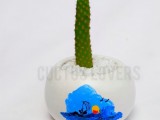 Cactus pots