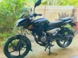 Bajaj Pulsar 135 2013 (Used)