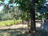 Land for sale Aththanagalla