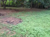 Land for selling from Biyagama