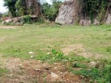 Land for Sale in Bandaragama