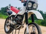 Honda Other Model 2006 (Used)