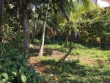 Land for sale in Ragama