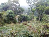 Land for sale Peradeniya