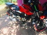 Bajaj Pulsar 135 0 (Used)