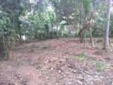 Land For Sale Adiambalama