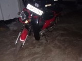 Ranomoto Other Model 2018 (Used)
