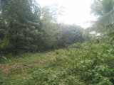 Land For sale in Horana