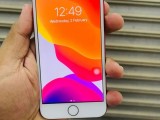 Apple iPhone 7  (Used)