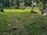 LAND FOR SELLING KOTUGODA RAJAMAWATHA ROAD
