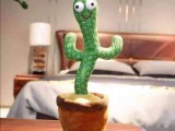 Dancing cactus