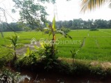 land for sale pannipitiya