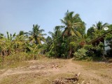 Land For Sale Kalagedihena