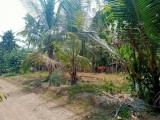 Land for sale Veyangoda