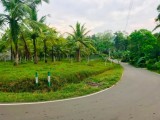 Land for sale from Munamale, Homagama