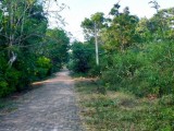 Land for sale Katharagama