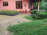 අක්කරයක් සමග නිවස විකිණීමට