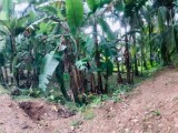 Land for selling from Homagama,SriLanka