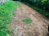 Land for selling from Homagama,SriLanka
