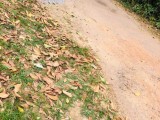Land for sale Homagama Uduwana
