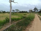 Land for sale Kurunegala