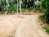 Land for selling from Nittabuwa ,SriLanka