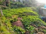 Land for selling from Nuwara Eliya,SriLanka