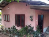 House for sale pugoda