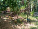 Land for sale in Mattegoda