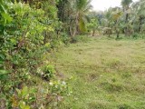 Land for sale in Hanwella