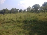 LAND FOR SALE GALGAMUWA