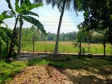 LAND FOR SALE GAMPAHA,KIRIDIWALA