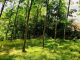 LAND FOR SALE gampaha,pugoda