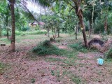 Land For Sale Veyangoda