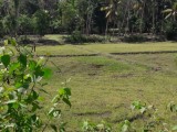 Land for selling from Gampaha ,SriLanka