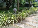 House for sale from Malabe,Athurugiriya