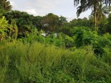 Land For Sale from Hikkaduwa