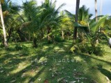 Land for sale from Tangalle