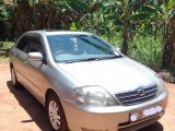 Toyota Corolla 2001 (Used)
