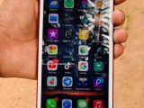 Apple iPhone 7  (Used)