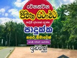 Lands for sale near Padukka town