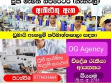 JOB VACANCIES DUBAI