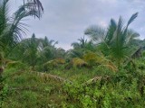 Land for sale from Tangalle