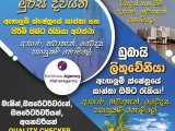 JOB VACANCIES FOR LITHUANIA