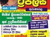JOB VACANCIES