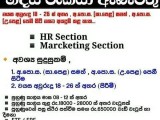 JOB VACANCIES