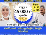 JOB VACANCIES