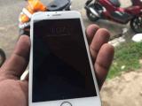 Apple iPhone 7  (Used)